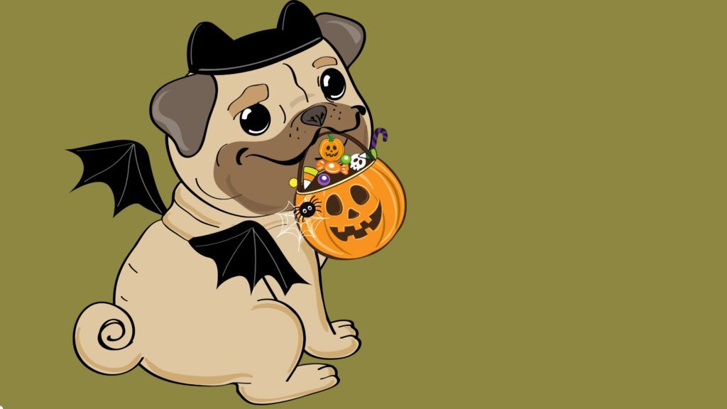 Halloween Pet Costume Ideas For Instagram 2024 By SD Subedi